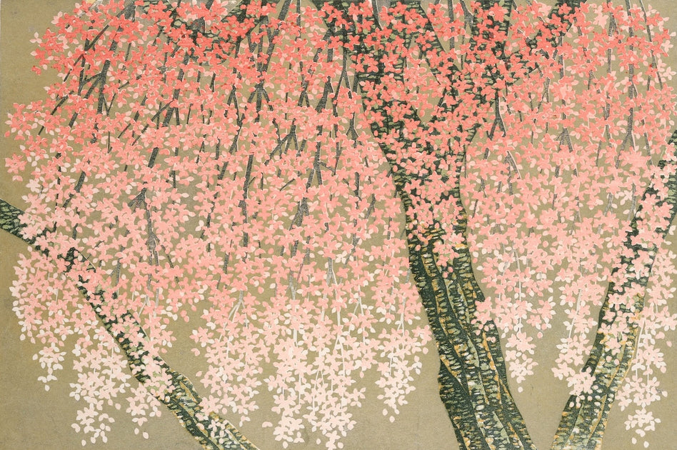 hajime-namiki-weeping-cherry-