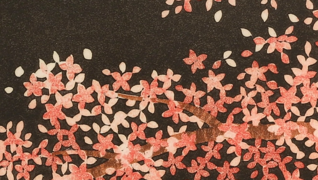 Sakura 8 - Museum Frame - Hajime Namiki
