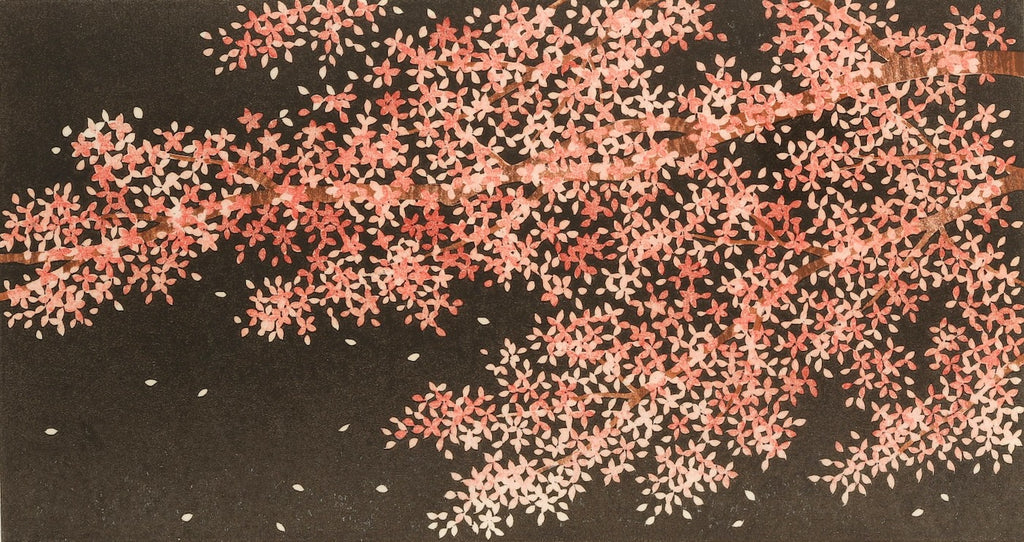 hajime-namiki-sakura-8-