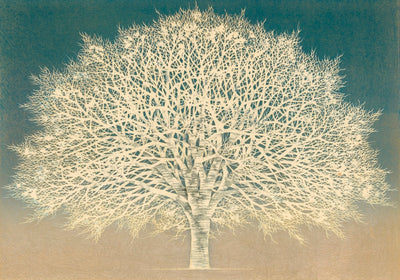 Hajime Namiki - Tree Scene 160 A - Museum Frame