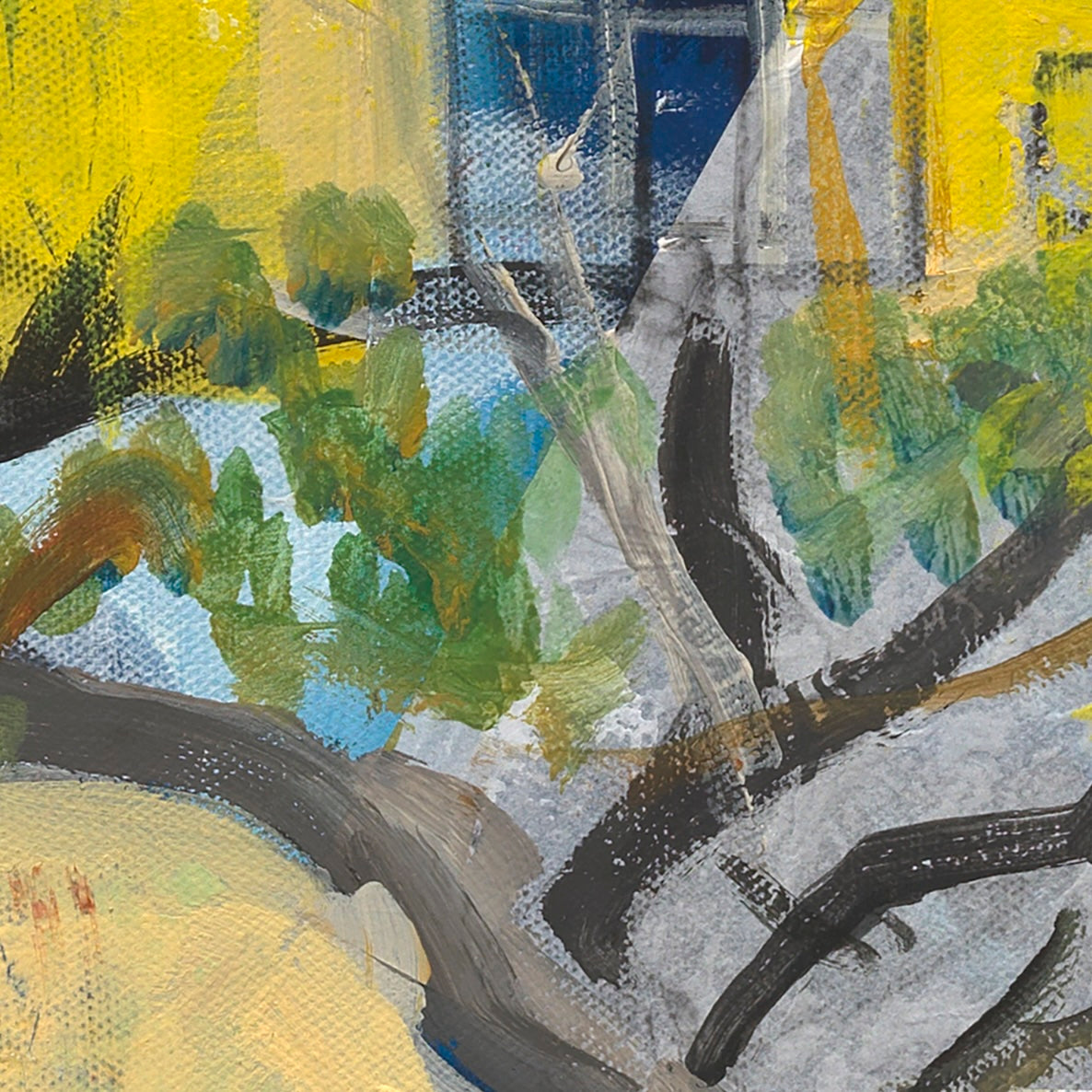 The Hills Behind My House