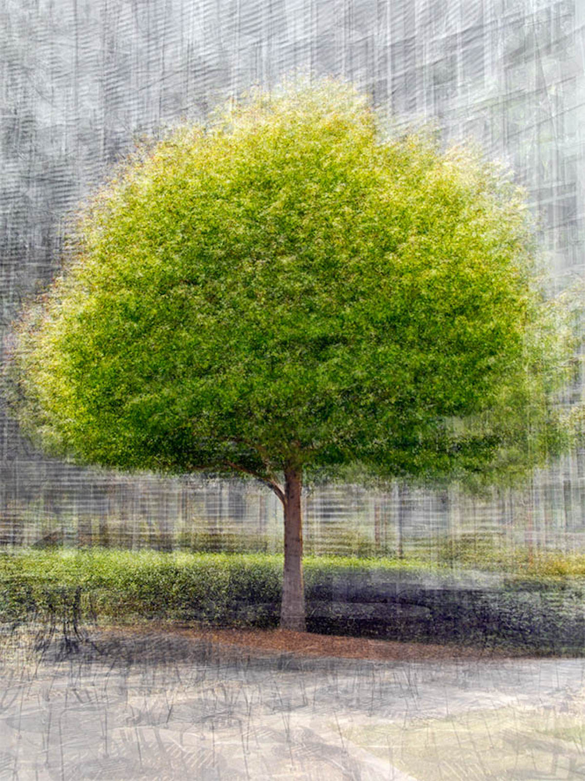 Art Mediums Explained